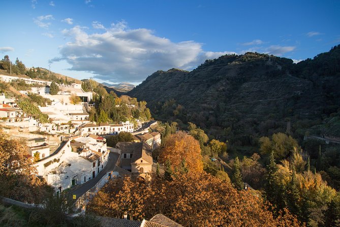 4 neighborhoods 4 cultures. Half day private tour in Granada - Starting at Plaza de Bib-Rambla and finishing by the Alhambra footpath