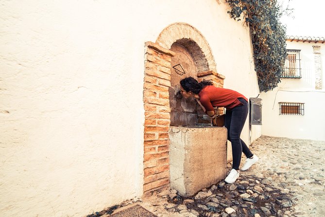 4 neighborhoods 4 cultures. Half day private tour in Granada - Casa de los Tiros and Casa Museo Max Moreau: Renaissance and the Carmen-house feel