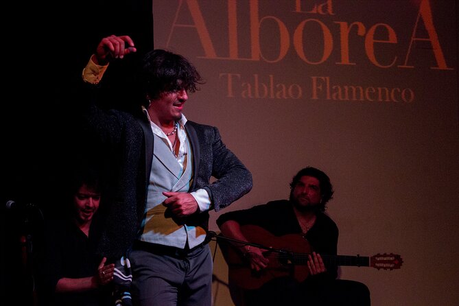 Albaicín and Sacromonte Walking Tour and Flamenco Show - Should You Book This Albaicín and Sacromonte Tour?