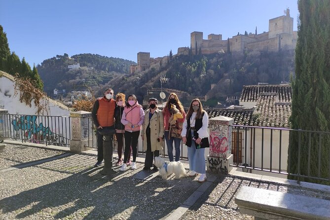 Albaicin guided tour with dogs - The walking route: Plaza Nueva up to Mirador de San Nicolás, then down to Puerta Elvira