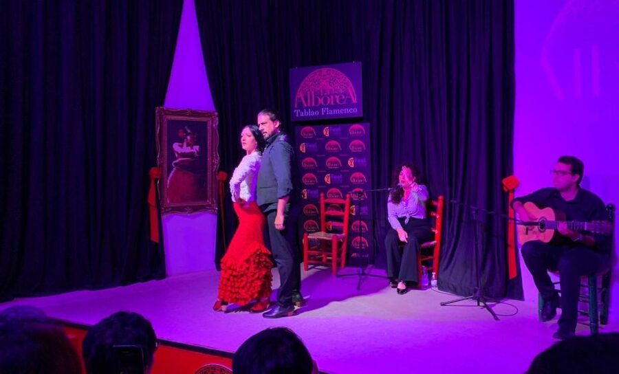 Albaicín & Sacromonte: Tour with Flamenco Show - Who Should Book This (And Who Might Pass)