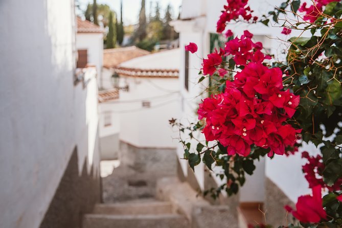 Albaicín & Sacromonte Walking Tour - Carrera del Darro: the famous street that looks like it was drawn