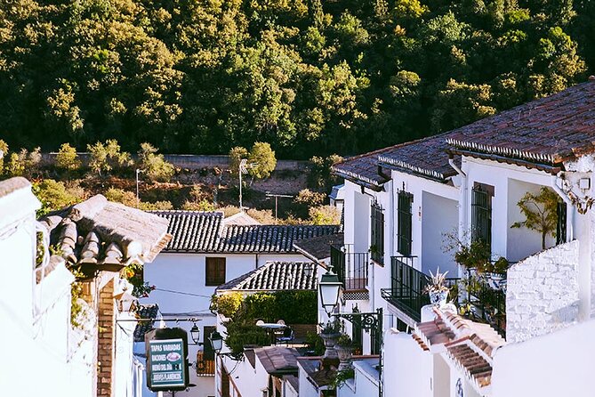 Albayzin and Sacromonte Guided Walking Tour in Granada - Should you book Albayzín and Sacromonte?