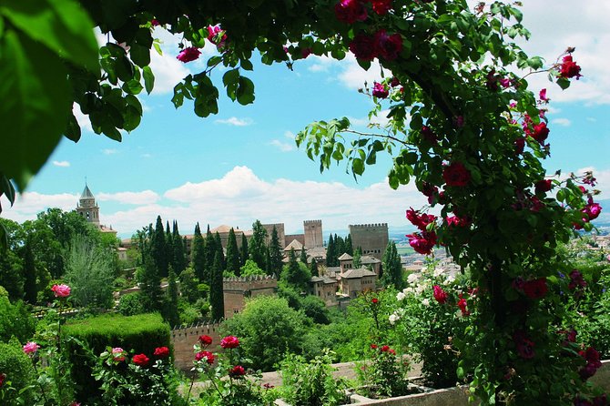 Alhambra and Generalife Skip-the-Line Ticket with Guide - The Price Question: Paying for Time, Not Just Entry