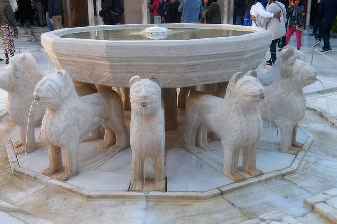 Alhambra and Granada City Center sightseeing tour! - Tailor-made pace: the real value in a private tour