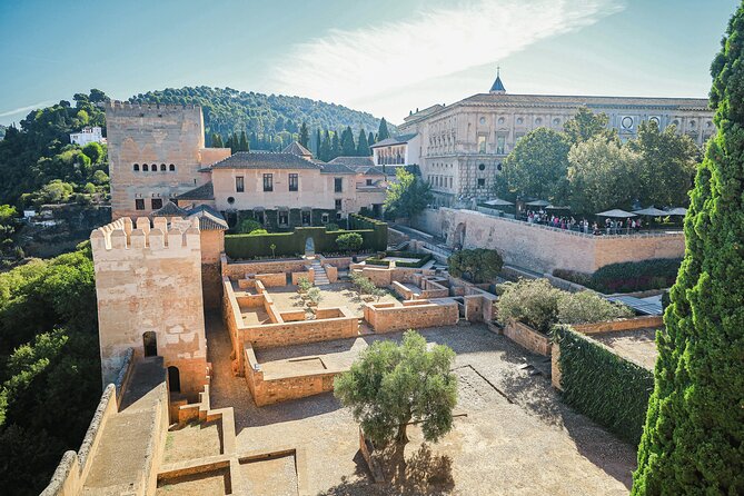 Alhambra and Nasrid Palaces: Skip-the-line Ticket and Local Guide - Key highlights worth your attention