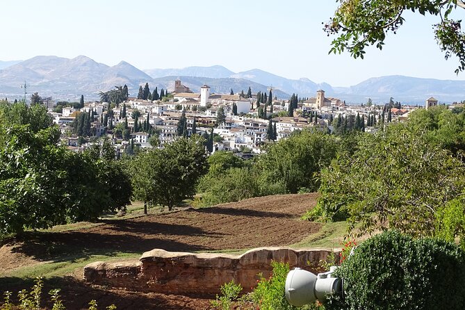 Alhambra and Nasrid Private Walking Tour with Food Tasting - Nasrid Palaces: Mexuar, Comares, and the Court of the Lions