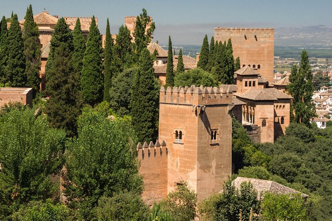 Alhambra & Generalife: Exclusive 3-Hour Private Tour with Tickets Included - Patio de los Arrayanes: The Large Courtyard Moment