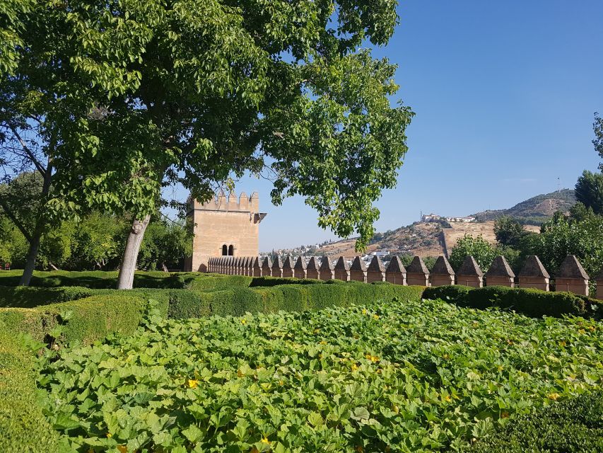 Alhambra: Generalife Gardens & Alcazaba Fast-Track Tour - Quick practical tips: photos, rules, and keeping the day easy