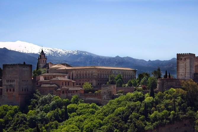 Alhambra, Generalife & Nasrid Palaces Guided Tour in Granada - Nasrid Palaces: the main event for architecture lovers
