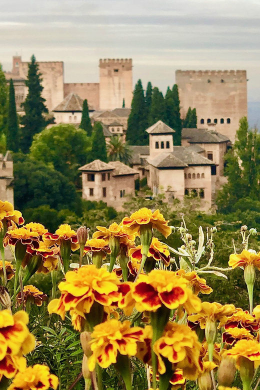 Alhambra: Guided Private Tour with Fast-Track Entry - How the Private Guide Shapes the Whole Experience