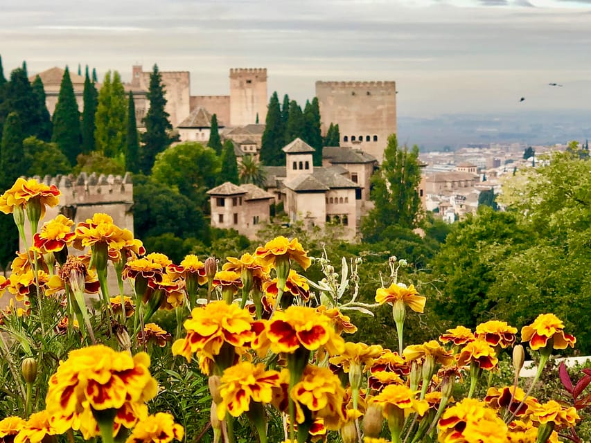 Alhambra: Guided Private Tour with Fast-Track Entry - Where the Tour Starts: Getting Your Bearings at Pabellón de Acceso