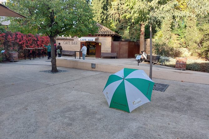 Alhambra Guided Tour, Nasrid Palaces and Generalife - The guides: where the tour really earns its keep