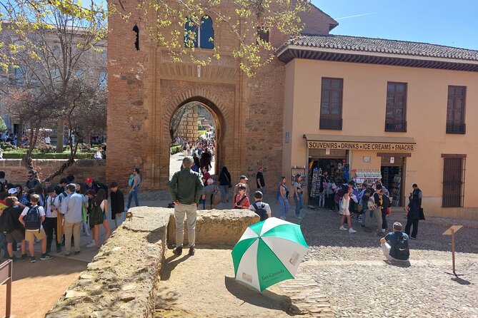 Alhambra Guided Tour, Nasrid Palaces and Generalife - Who this tour suits best