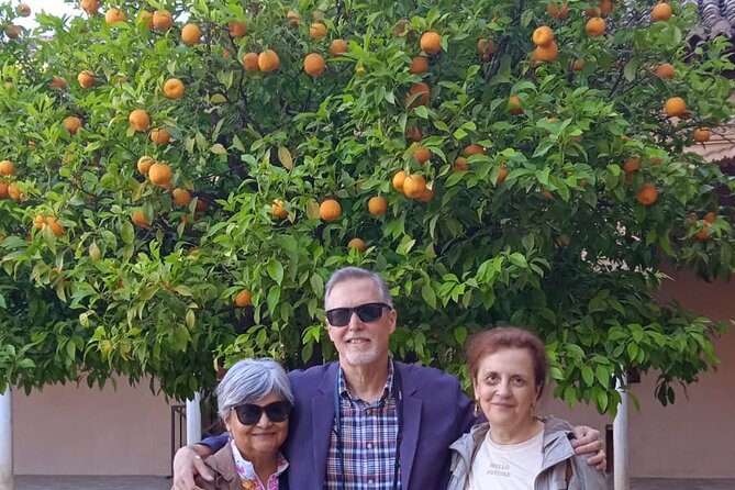 Alhambra in Granada Private Tour - Why a private Alhambra guide makes your time count