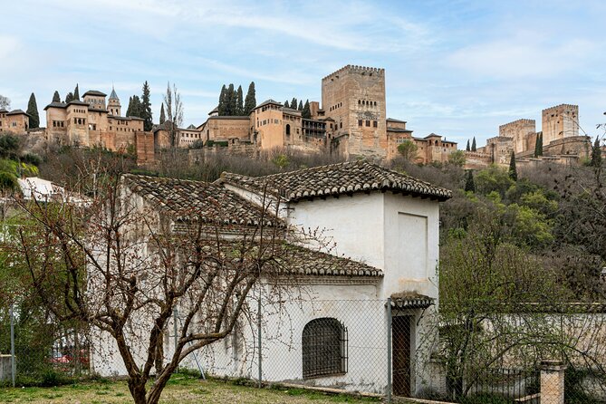 Alhambra in Granada Private Tour - Stop 3: Generalife—slow down in the gardens and water features
