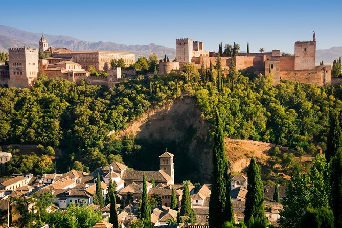 Alhambra Private/Small Group Tour & Nasrid Palaces Skip the Line - Fast-Track Alhambra Entry: Why It’s the Whole Point