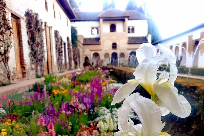 Alhambra Private Tour with Tickets to the Nasrid Palaces - What makes the guides stand out: Santi, Chus, Eduardo, Soraya