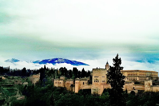 Alhambra Private Tour with Tickets to the Nasrid Palaces - Practical tips so your visit goes smoothly