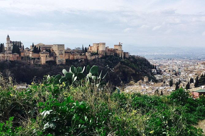 Alhambra private tour (without tickets) total/group Max 15 people - Your guide matters: seeing the difference in how Alhambra gets explained