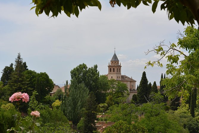 Alhambra Skip-the-Line Guided Tour - The Guide Factor: Why This Tour Can Feel Great or Frustrating