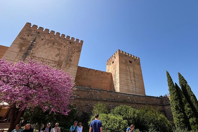 Alhambra Surroundings Guided Tour - Key Highlights at a Glance