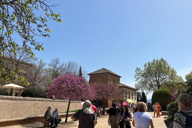 Alhambra Surroundings Guided Tour - Price and Time: What $23.54 Buys You (and What It Doesn’t)