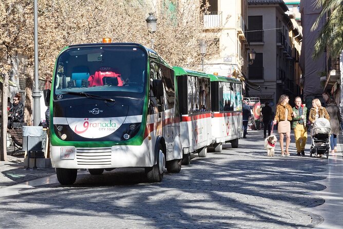 Alhambra tickets with Nasrid Palaces + Tourist Train - What you actually get: tickets + train, not a guided tour