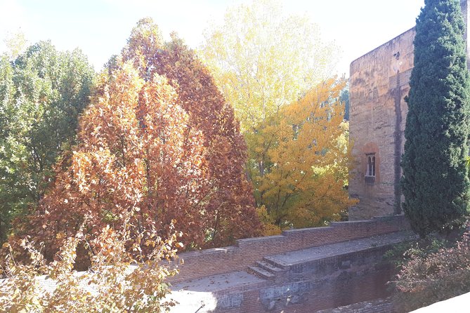 Alhambra Tour :Generalife Gardens ,Palaces and towers.Skiptheline - Towers, Charles V Palace, Medina and Royal Street: seeing the main blocks
