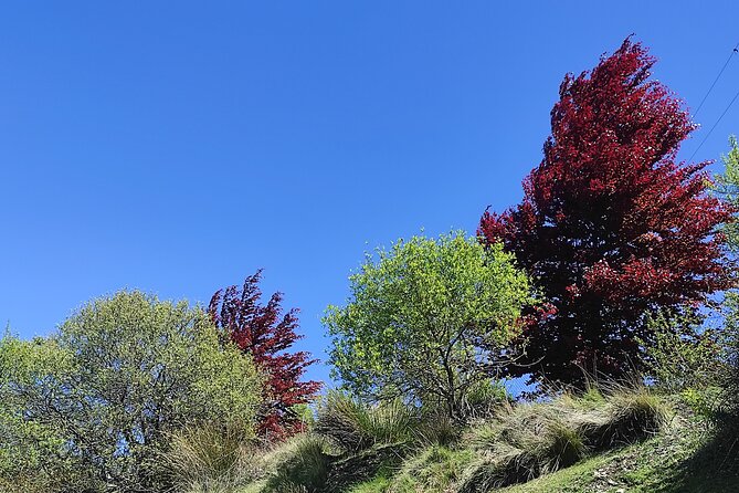 Alpujarra Private DayTrip from Granada - Capilerilla’s cortijos walk is short, but it hits hard