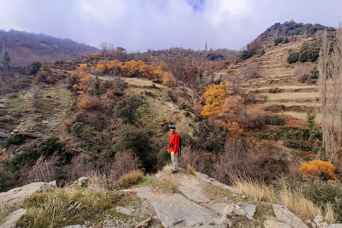Alpujarra Private DayTrip from Granada - The drive from Granada sets the tone for Pampaneira