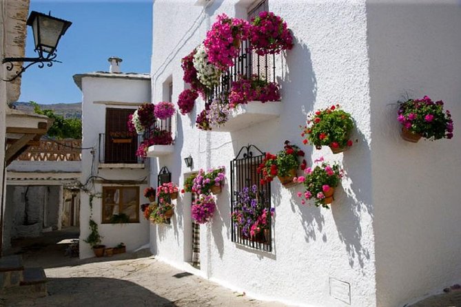 Alpujarras Day Trip Private or Small Group Tour - The main Alpujarras stretch: time for real village life and Lanjaron water culture