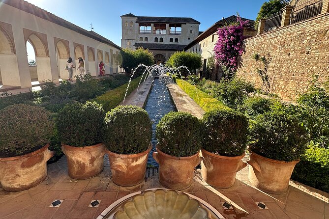 Arabic Private tour Alhambra (Not Included Ticket ) - Nasrid Palaces: Letters, Symbols, and the Best Use of 90 Minutes
