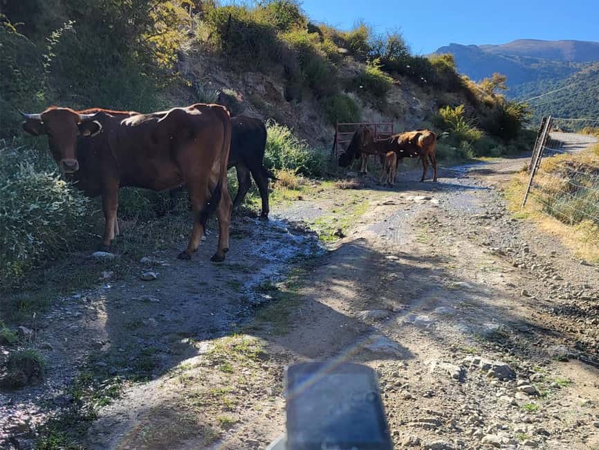 Beyond Los Cahorros: Adventure Through the Sierra Nevada - E-Bike Handling, Safety, and What You Need to Know Before You Go