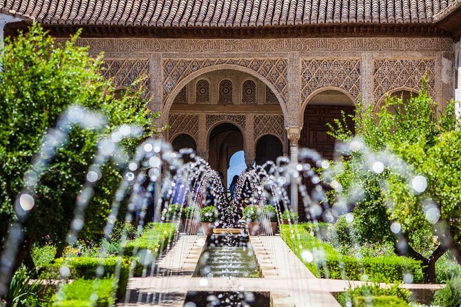 Complete Private Tour of Alhambra with Nasrid Palaces - A private Alhambra walk with an official guide