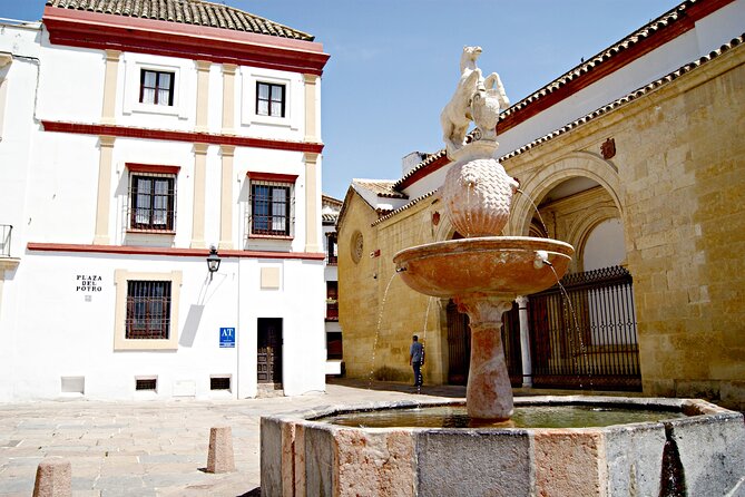 Cordoba and its Mosque from Granada with Semiprivate Transfer - Who This Tour Suits Best (and Who Might Want a Different Plan)