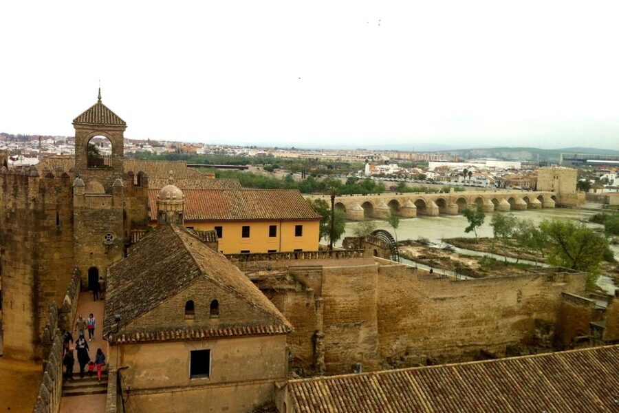 Cordoba Highlights Full-Day Tour from Granada - Price and value: where the money goes in this 12-hour plan