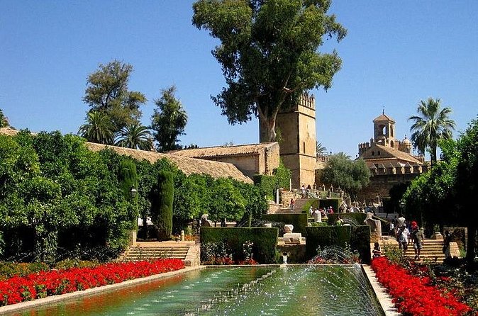 Cordoba with Mosque-Cathedral Private Tour from Granada - Free time in Cordoba center: lunch and shopping without stress