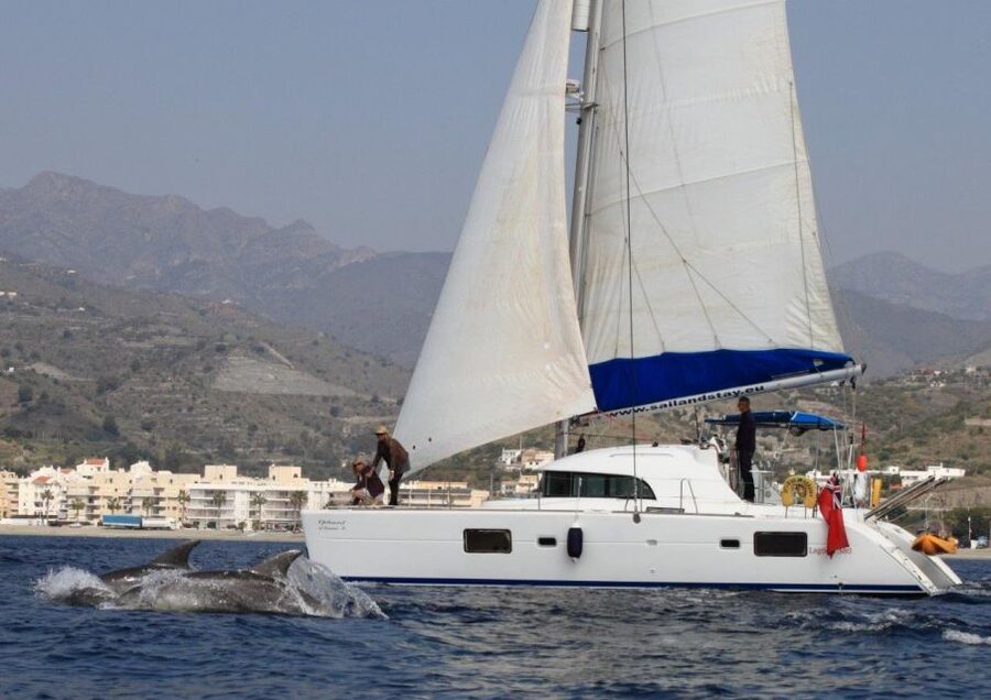 Costa Tropical: Luxury Catamaran Trip with Lunch - Price and value: what $136 gets you for 7 hours