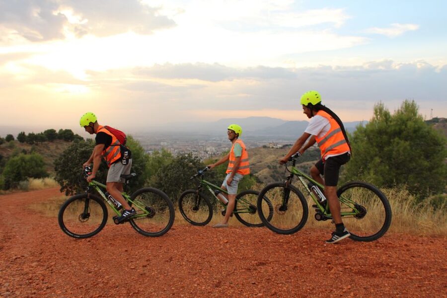 Electric Bike Tour with 2 Options to Explore Granada - Pace, group size, and what steep cobblestones feel like in practice