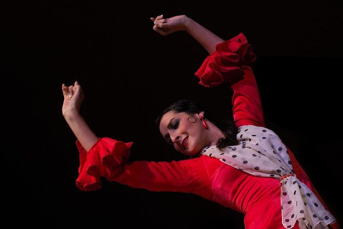 Flamenco Show in Cueva Zincalé - Price and Value: Is $24 Worth It?