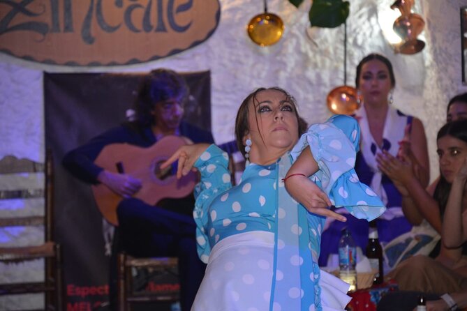 Flamenco Show in Cueva Zincalé - Who Should Book This Flamenco Zambra (and Who Might Skip It)