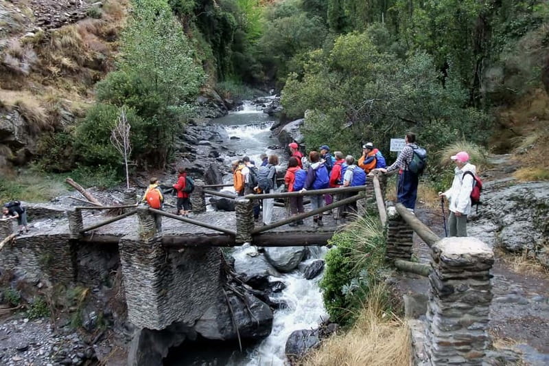 From Granada: Alpujarra Mountain Villages Tour - Pampaneira: free time in a white village (and how to use it)