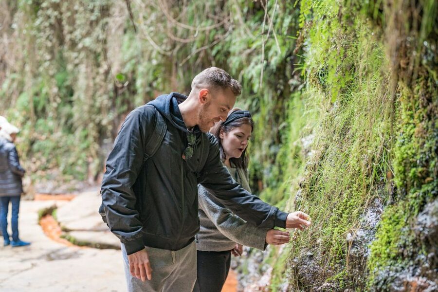 From Granada: Alpujarra Villages Guided Day Tour - Capilerilla: quieter lanes with a slower rhythm