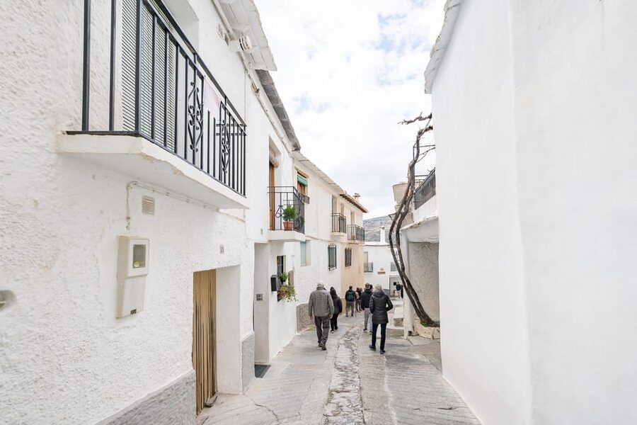From Granada: Alpujarra Villages Guided Day Tour - Timing, pace, and what to pack for a 7-hour mountain loop
