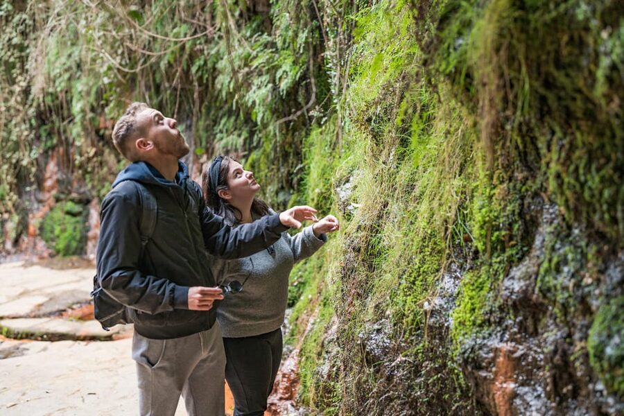 From Granada: Alpujarra Villages Guided Day Tour - The Mirador de Poqueira and big Sierra Nevada views