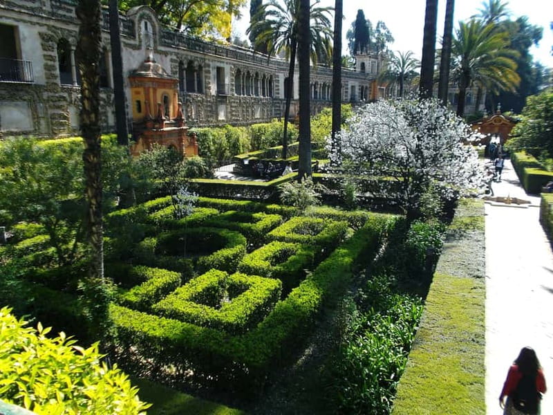 From Granada: Cathedral of Seville & Giralda Day Trip - A Seven-Hour Seville Hit from Granada