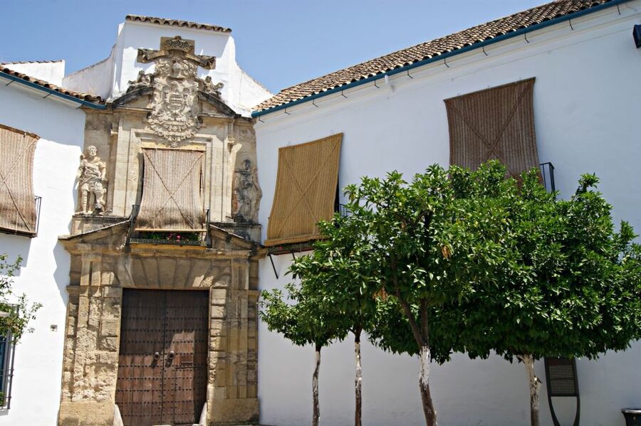 From Granada: Córdoba Day Trip with Mezquita Guided Tour - Why Córdoba from Granada feels like the smart move