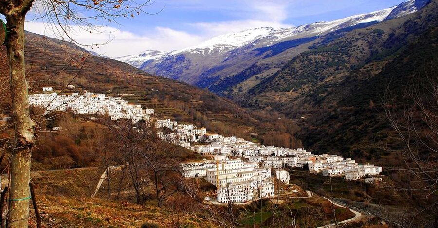 From Granada: Day Trip to Trevélez with Ham Factory - Why Trevélez feels like the Alpujarra’s food capital