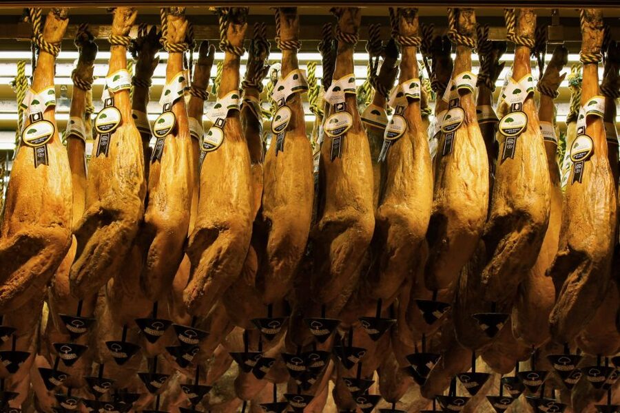 From Granada: Day Trip to Trevélez with Ham Factory - Should you book the Trevélez ham factory day trip?